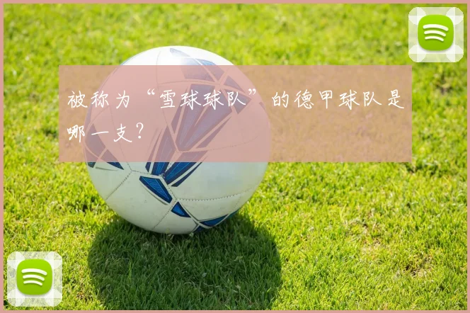 被称为“雪球球队”的德甲球队是哪一支？