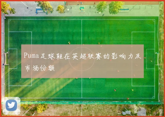 Puma足球鞋在英超联赛的影响力及市场份额