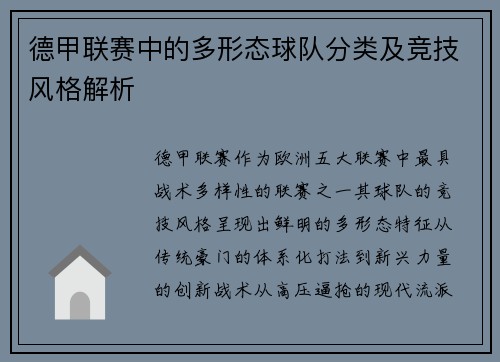 德甲联赛中的多形态球队分类及竞技风格解析