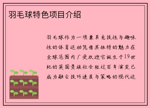 羽毛球特色项目介绍